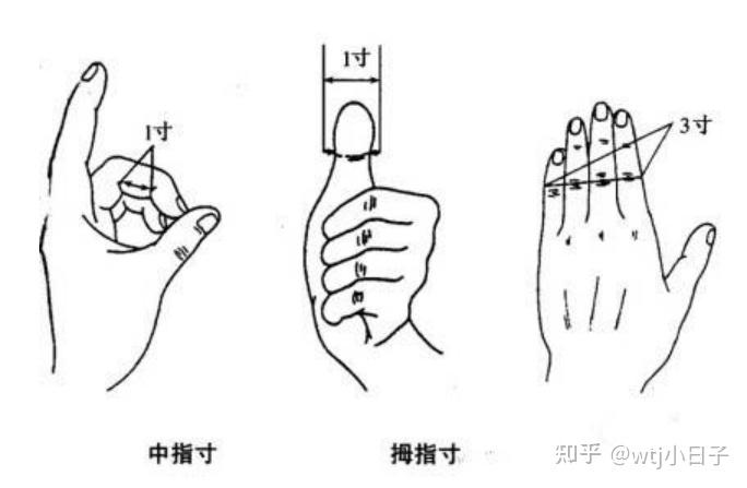 中指同身寸 本人的中指弯曲时内侧两横纹之间为1寸