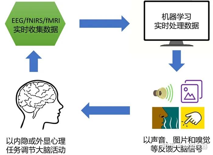 军事科技新突破：非侵入性认知神经训练的实战应用——TMS、tES、EEG、fNIRS技术 - 知乎
