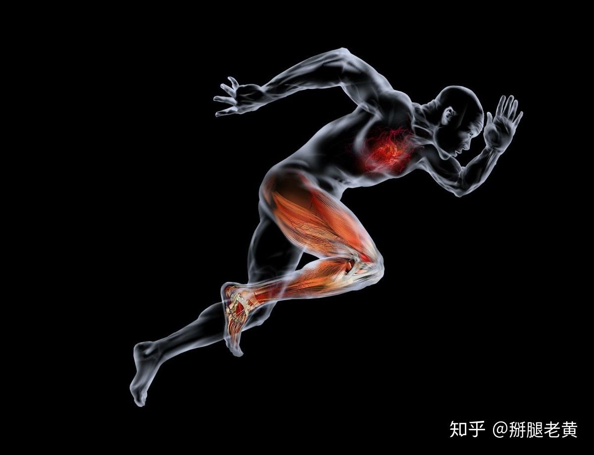 运动员专用肌力练习指导