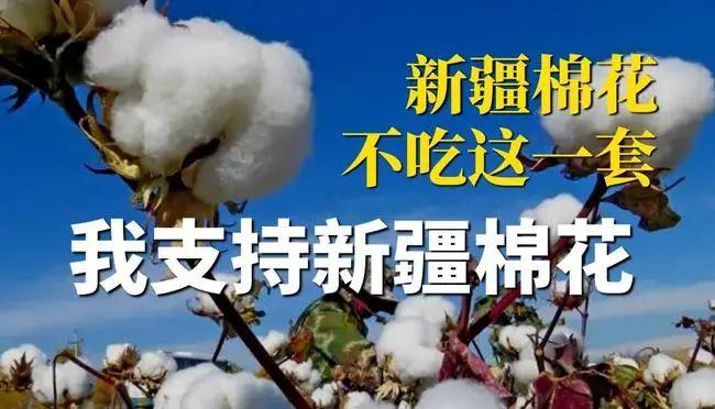 新疆棉花事件ppt图片