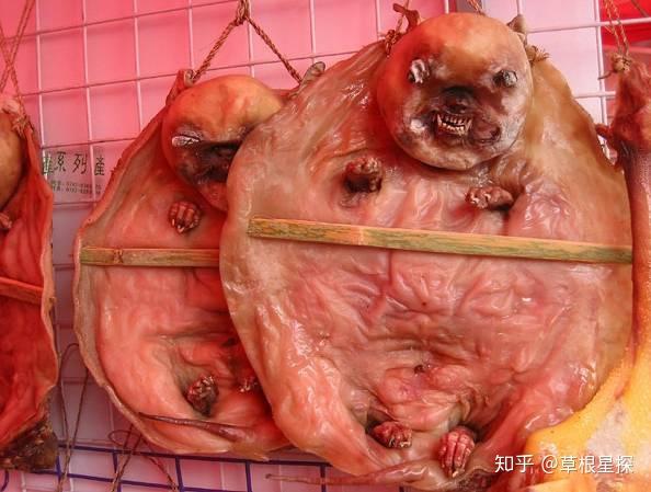 据说一种腊乳狗火烧猴子炭烤猴头最后,用一张可能是珍稀小蜂猴的照片