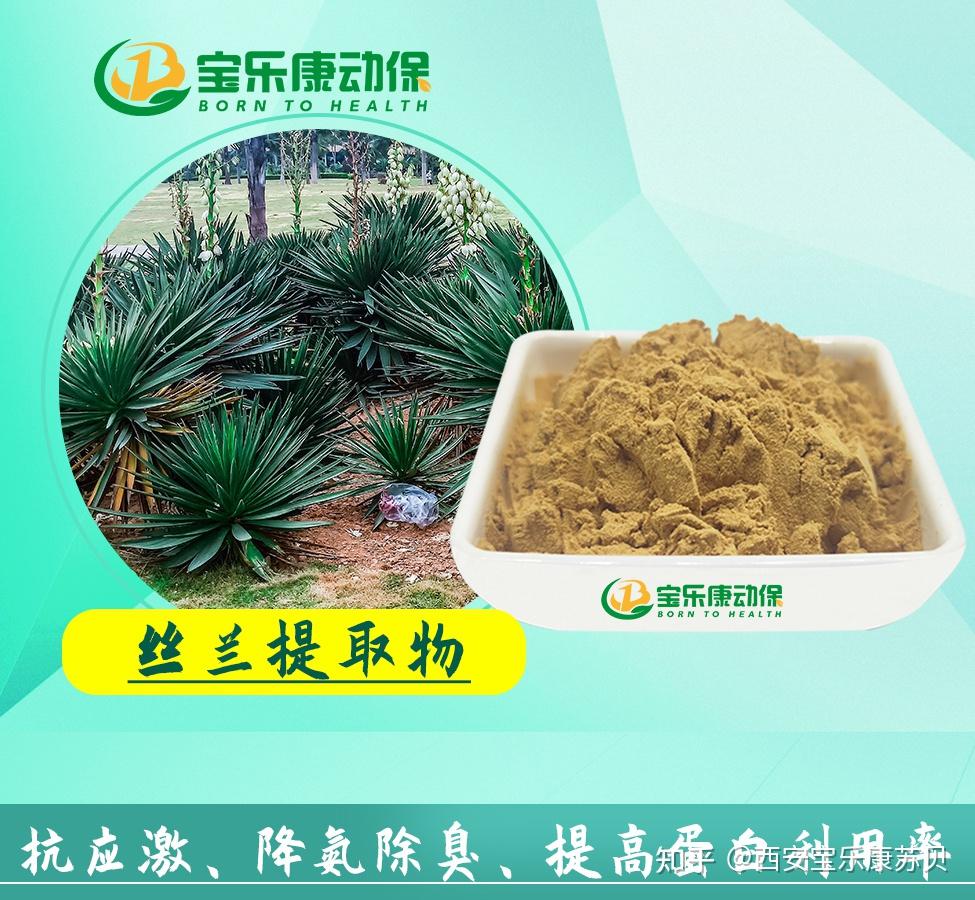 丝兰这个词，我不说，你肯定也没听过！！！ - 知乎