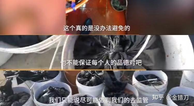 连上三年央视黑榜,一号难求!四川最没底线网红店,为何越骂越火(四川网红人员年收入多少)