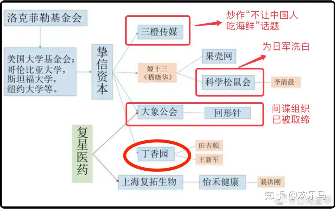 连花清瘟被围剿?左手捧辉瑞,右手黑中医,网友爆料“水很深”!-连花清瘟上热搜
