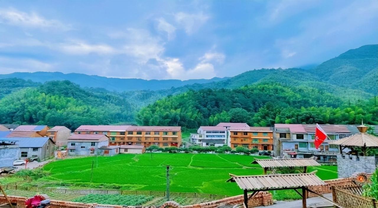 高山深处野茶香——探访茶陵县卧龙景区 - 知乎