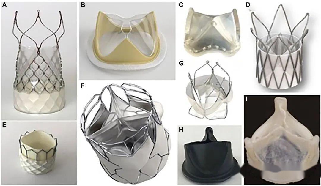 聚合物人工心脏瓣膜 当前技术与未来发展方向