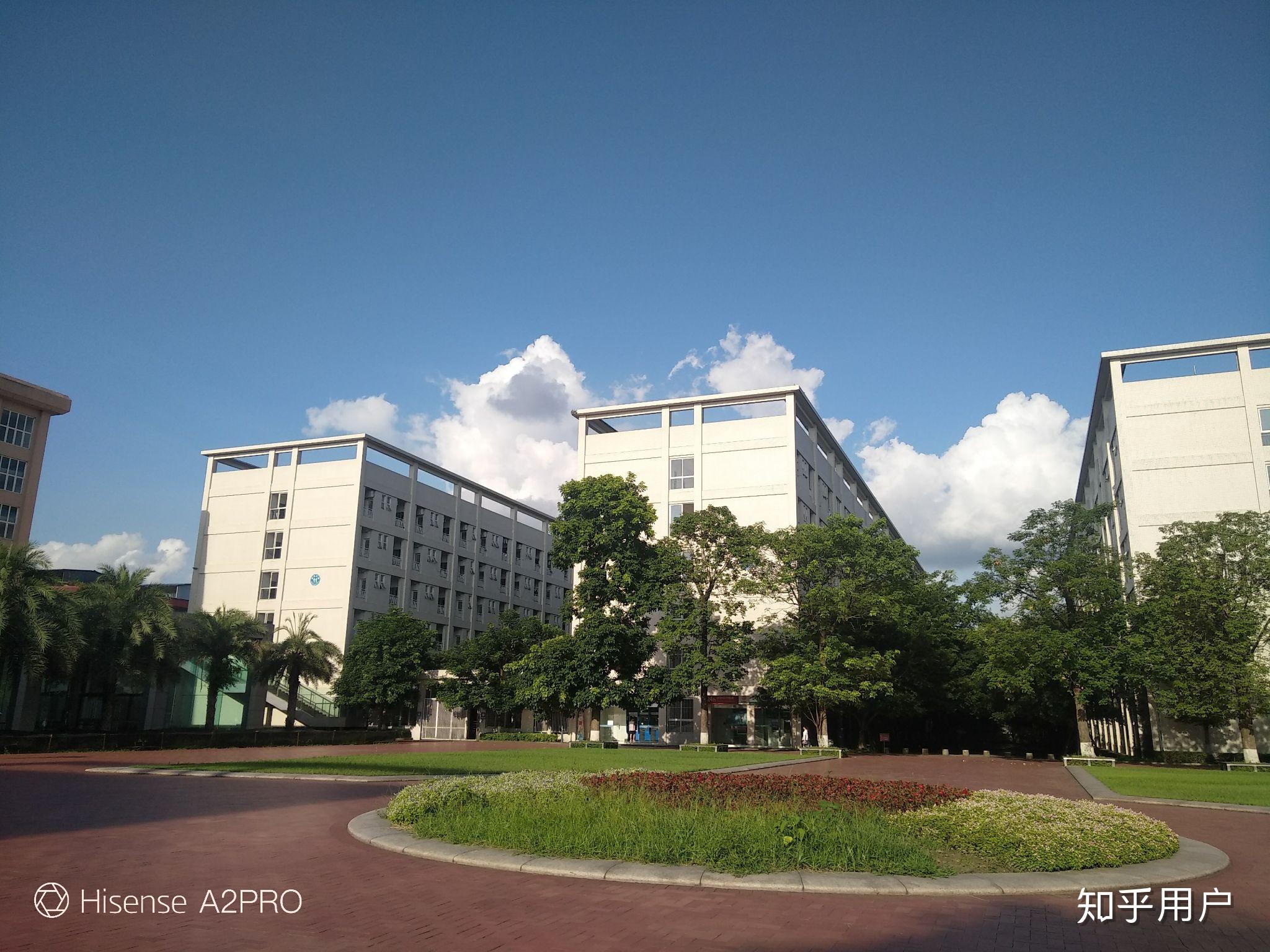 四川大学锦江学院招聘_四川大学锦江学院有什么专业(2)