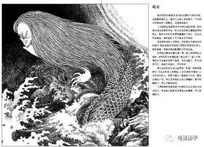 美人鱼到底是个什么东西 知乎