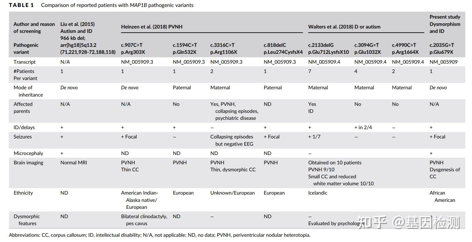 MAP1B基因 - 知乎