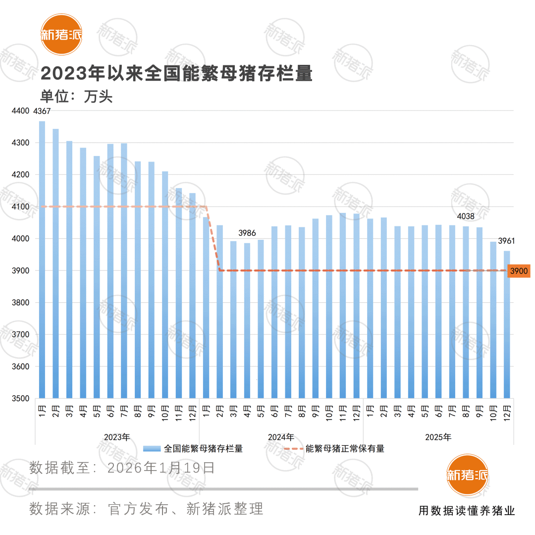 72亿头！2025生猪出栏同比上涨238，规模化占比近四成，猪业步入平稳发展新周期【勃林格特约·猪业视野】 知乎 