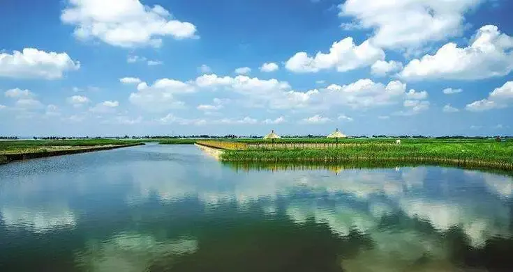 初夏陕西这个小县城渔湖镜天飞鸟雀跃