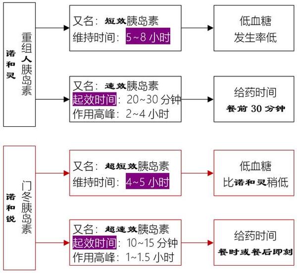 長效胰島素類似物:甘精胰島素(來得時),地特胰島素(諾和平)