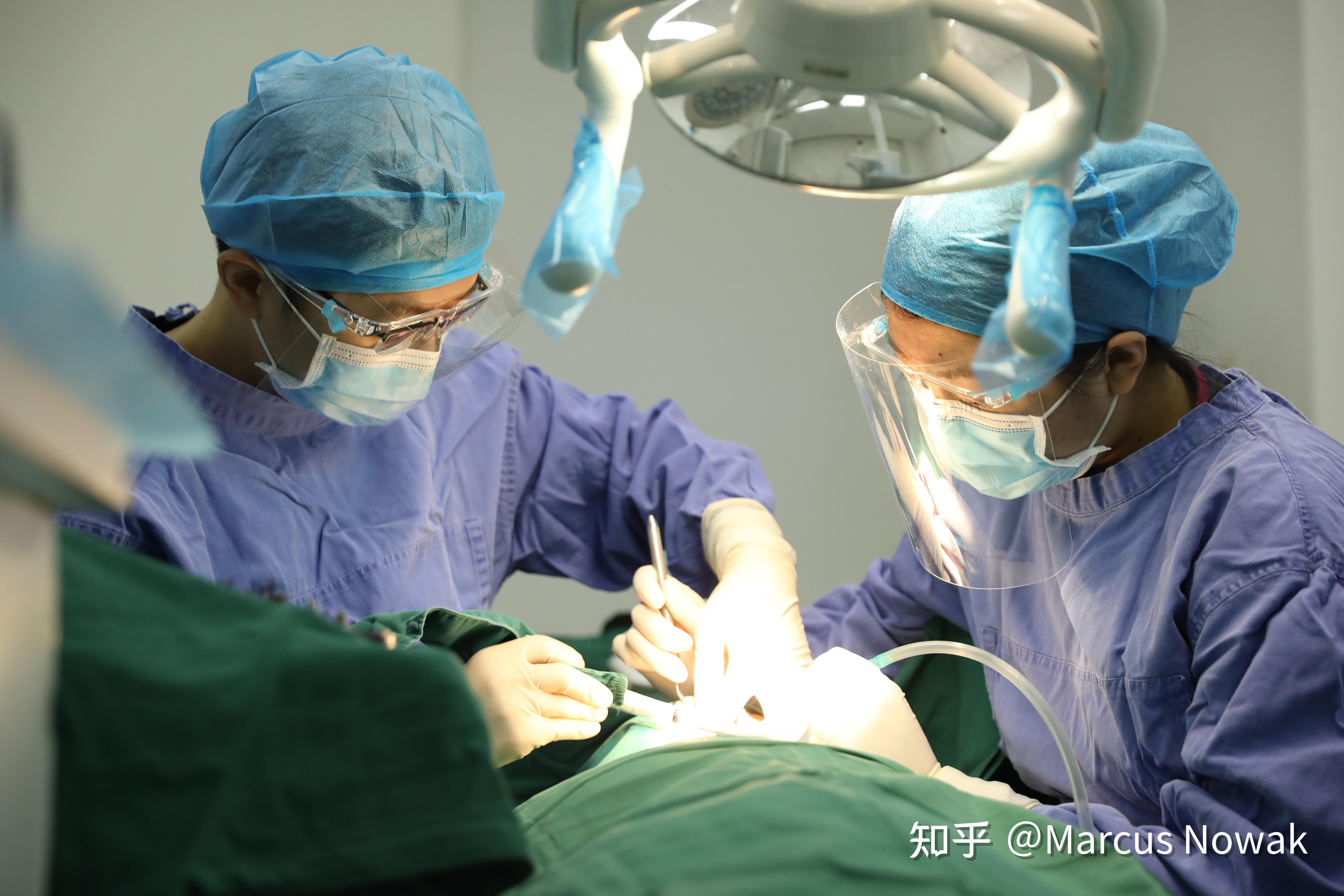 种植真话揭秘口腔种植中的隐形小猫腻