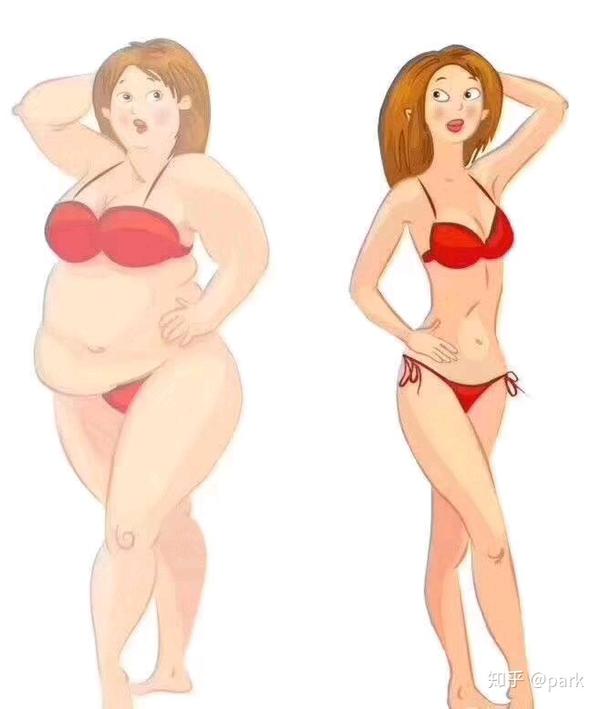 不同的肥胖类型比如梨形和苹果形的原因以及有什么针对性的运动对策吗