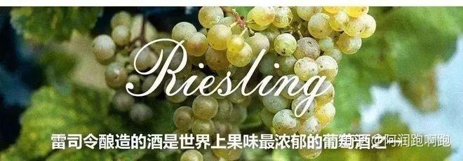 雷司令587岁啦! Happy Birthday Riesling! - 知乎