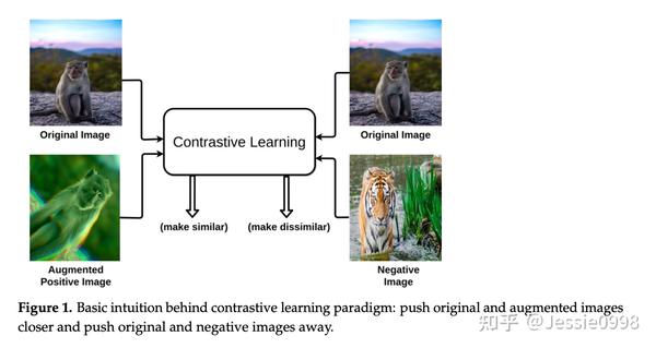 Contrastive Learning 综述 ‘A Survey On Contrastive Self-Supervised ...