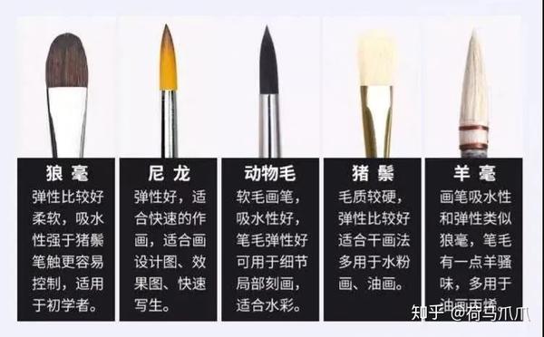 美术生集训准备什么画画工具 色彩绘画的工具种类 崇爱网 美术生集训准备什么画画工具 色彩绘画的工具种类 崇爱网