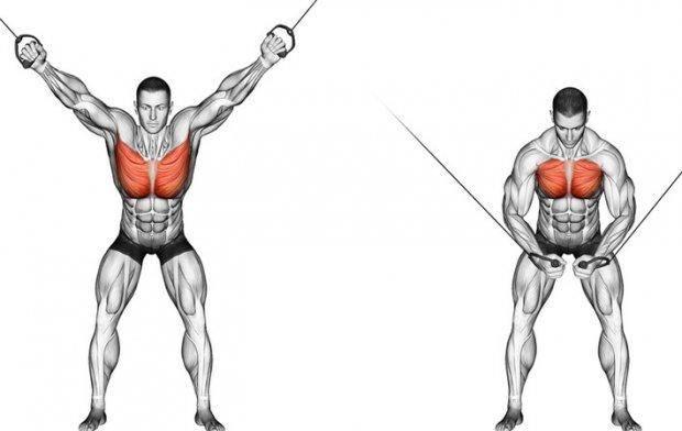 说到胸部中缝,之前有个很火的小测试,胸肌中缝夹笔,类似于反手摸肚脐