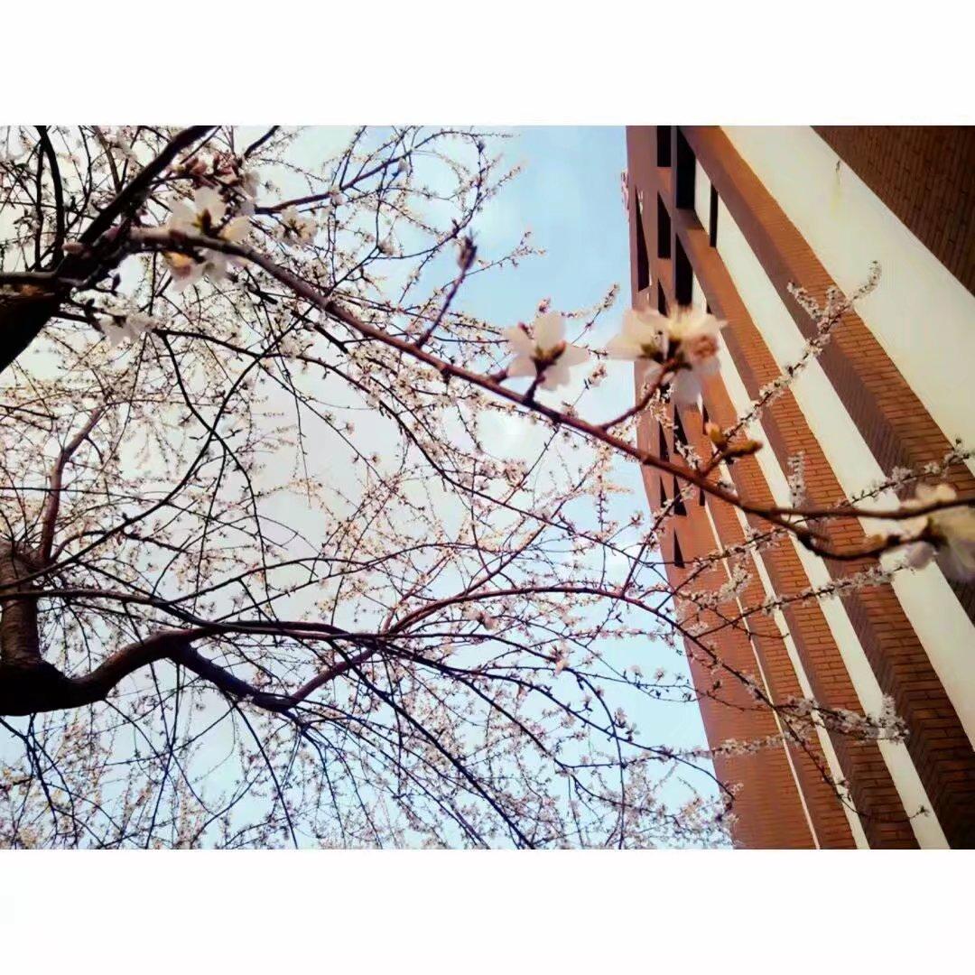 在长春市实验中学就读是一种怎样的体验?