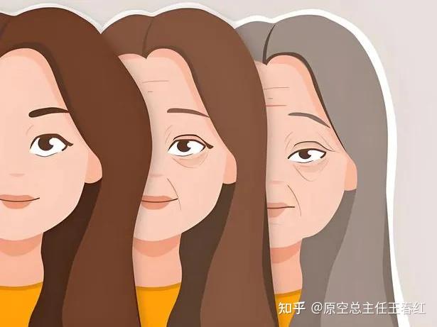 《cell》发布衰老新标志!抗衰从"细胞内部"迈入"细胞外环境"时代