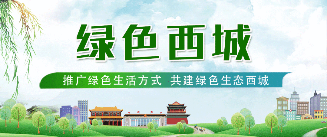 城市绿化常用苗木