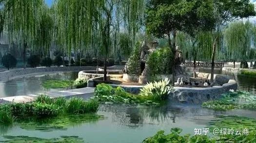 浅析园林水景常见的几种表现形式 - 知乎