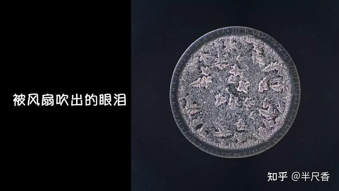 显微镜下的眼泪,竟然有着情绪的形状 - 知乎