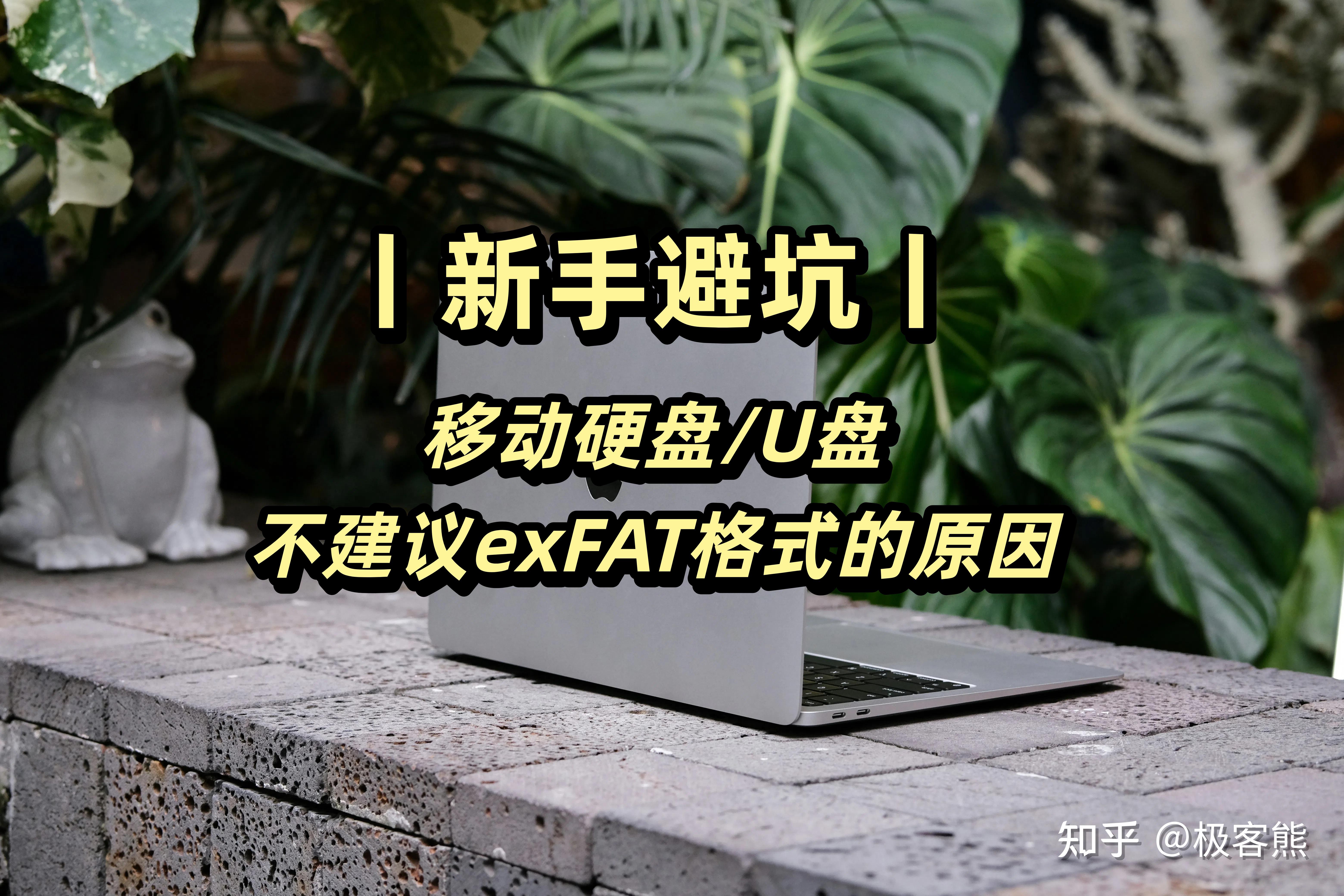 新手避坑丨移动硬盘/U盘使用exFAT格式为何风险更高？ - 知乎