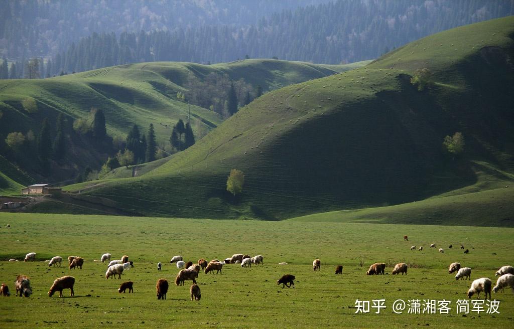 普天之下中华一体