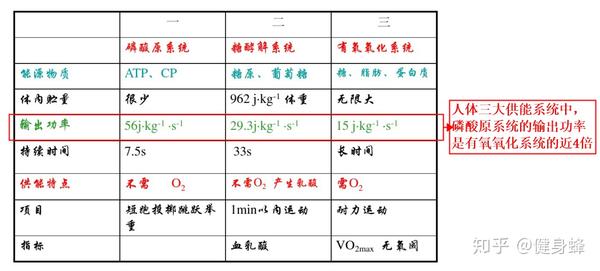 有氧氧化系统