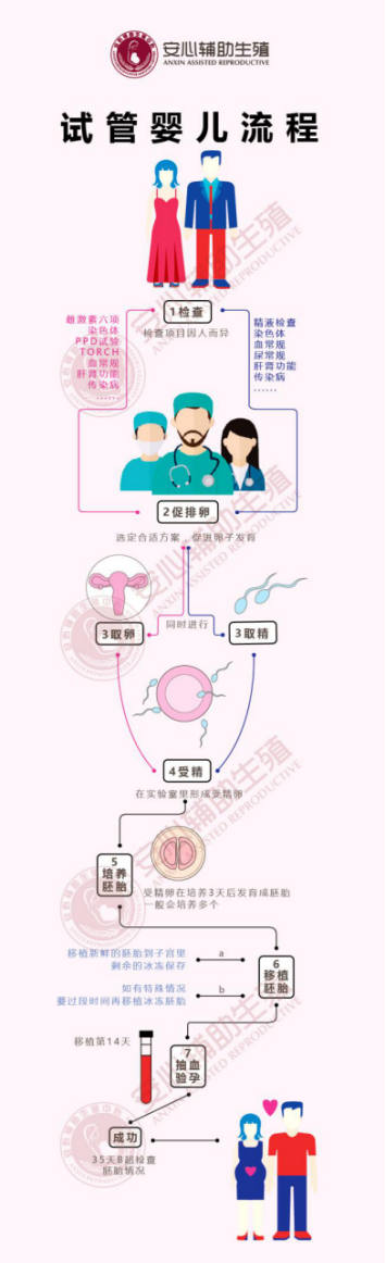 试管婴儿一般流程(试管婴儿一般流程多久)-第1张图片-鲸幼网