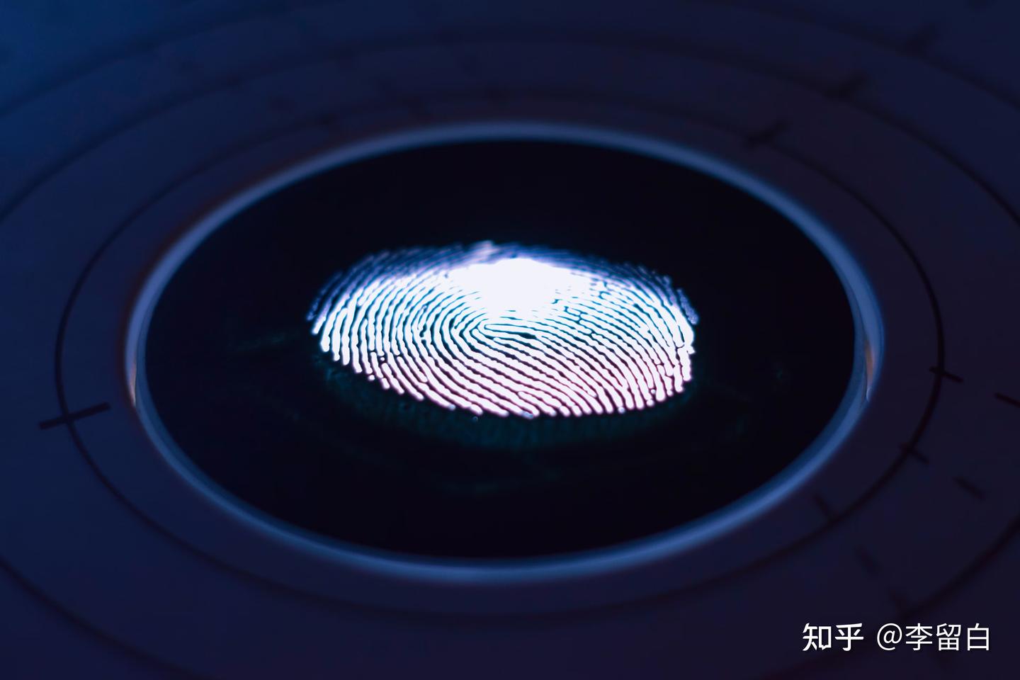 常用的26款指纹浏览器- 知乎