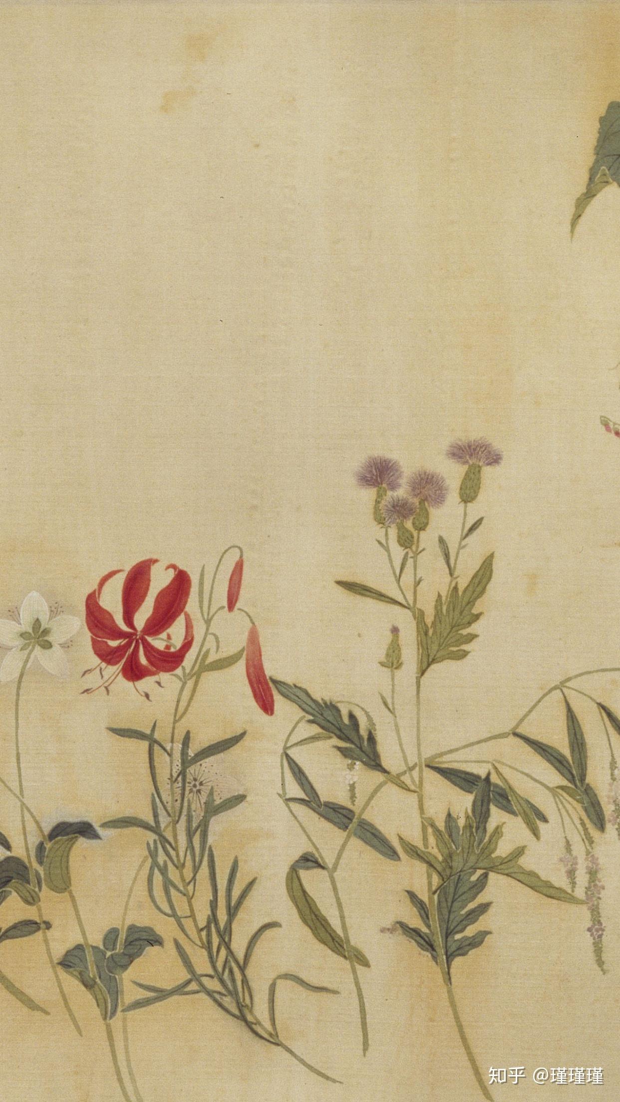 【蒋廷锡塞外花卉图卷·清】