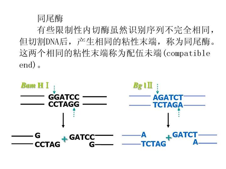 知乎