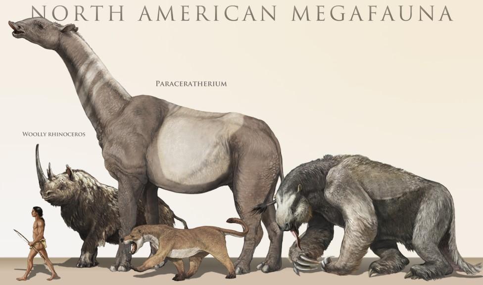 为什么现在的动物不如恐龙那样巨大 知乎