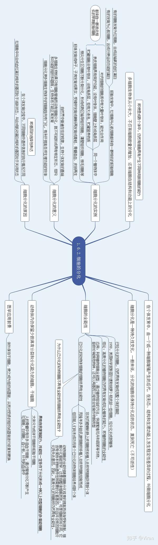 细胞分化思维导图图片