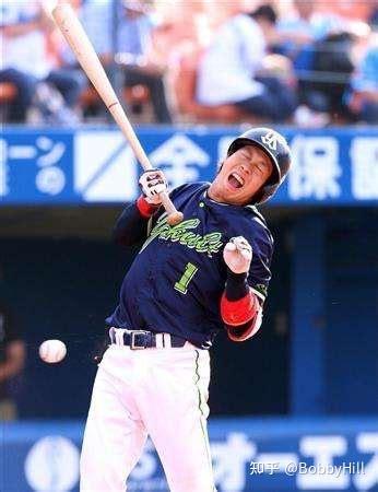 养乐多的突围 知乎