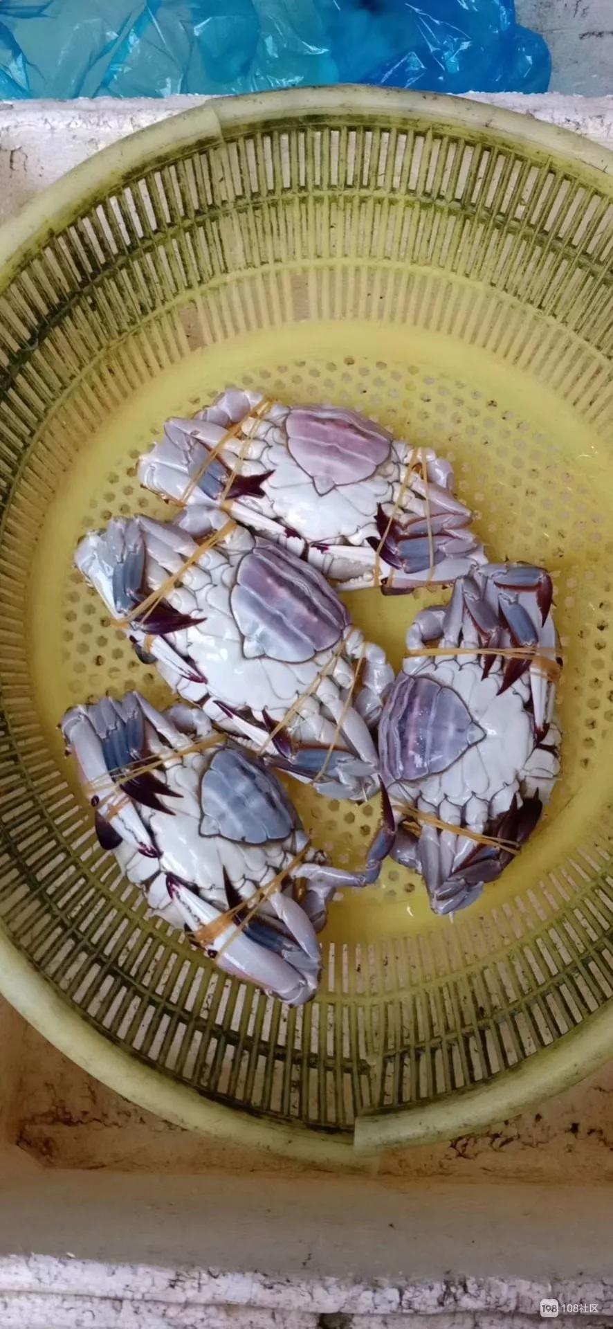 260一斤网友四只螃蟹斥资1000元渔民船上卖45一斤