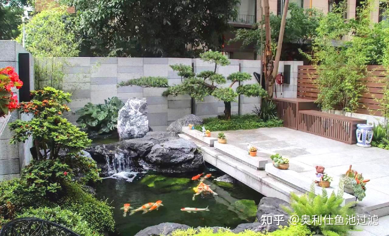 “小水景,大智慧”——庭院里精致而灵动的自然美! - 知乎