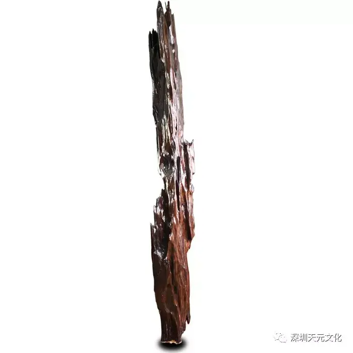 【天元藏·荐】东方神木——阴沉乌木大摆件 - 知乎