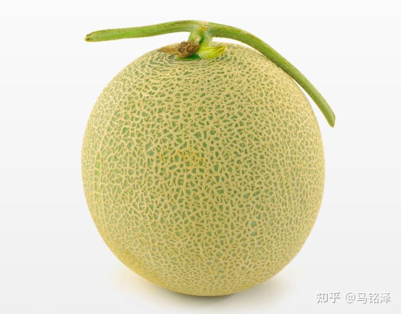 v2-7a8d622ed0f41a9199fcb89611d0e8fa_r.jpg