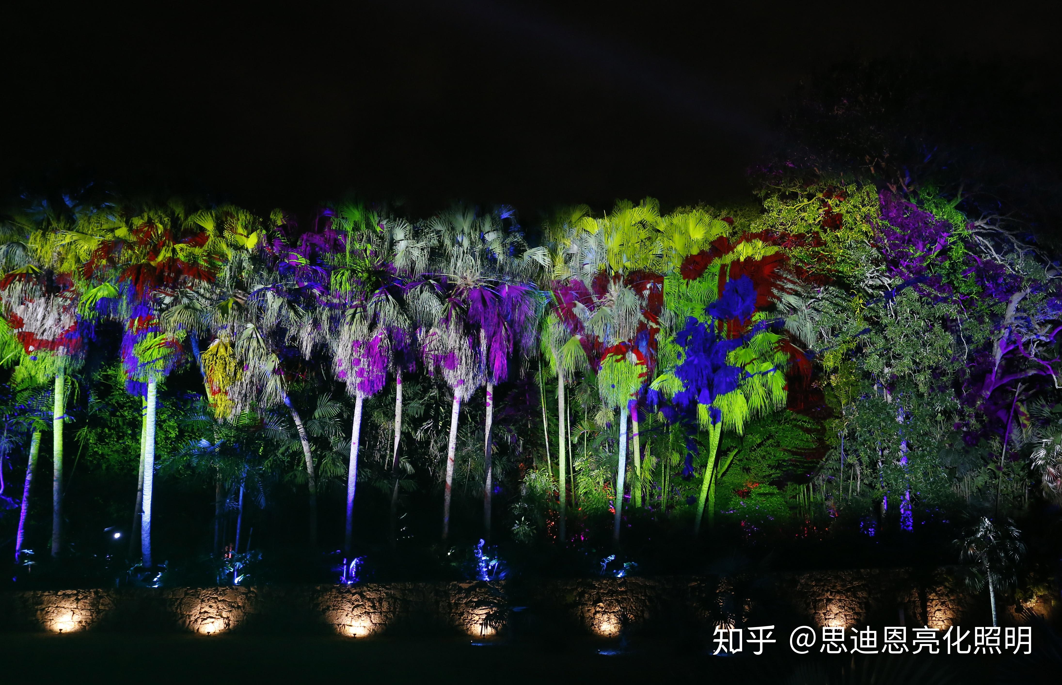 这组作品名字叫"梦幻森林"