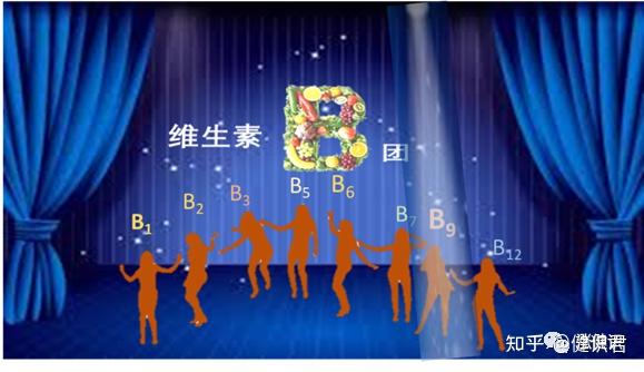 B族维生素系列(七):维生素B9(叶酸)(1)简介篇 - 知乎