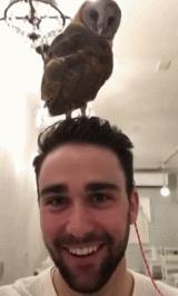 这款获奖和提名能超过一页的作品，终于移植为手游了！