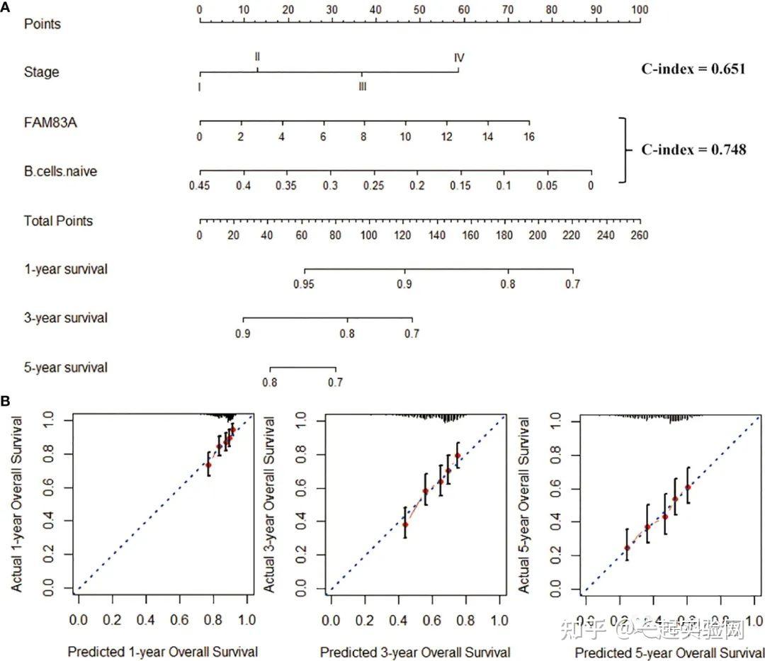 LASSO+随机森林+BP神经网络,机器学习算法轻松搞定5+ - 知乎