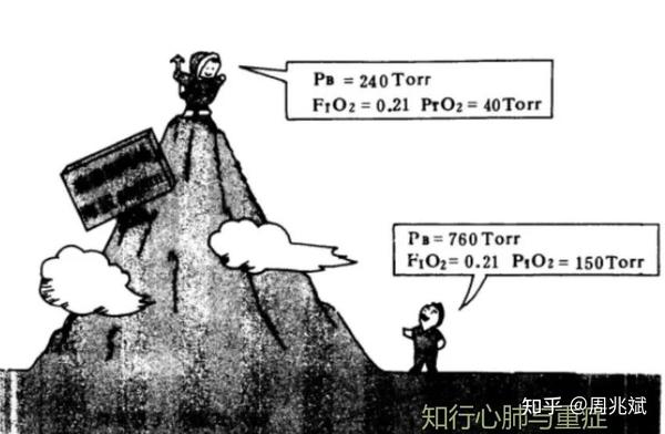 [呼吸基础]一文区分缺氧与低氧血症 - 知乎