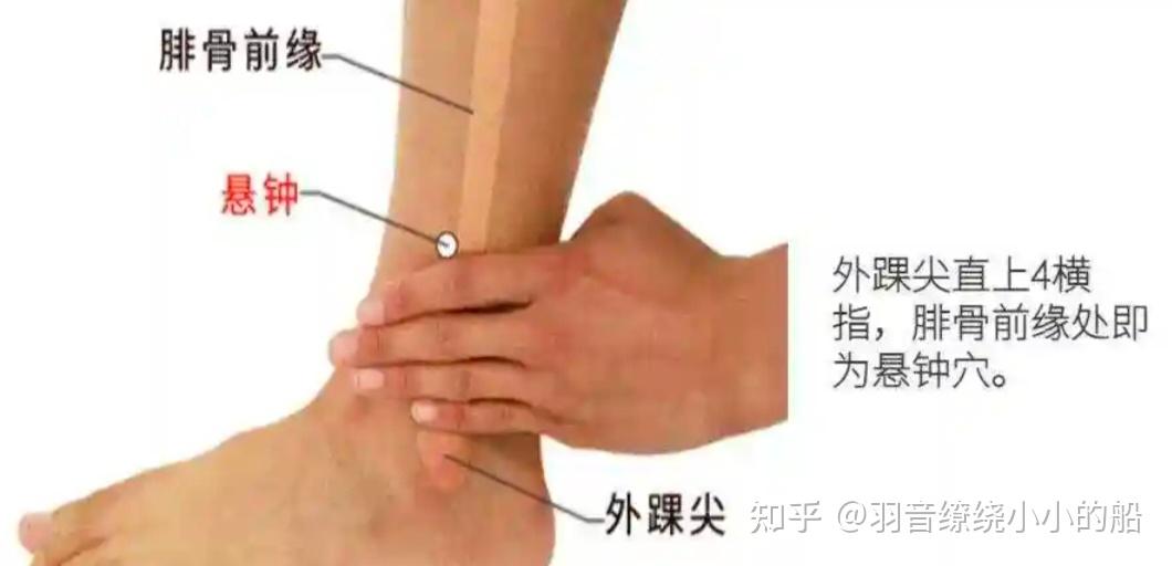 身体自带“妙药”：养筋、补髓，看看胆经的常用穴位 - 知乎