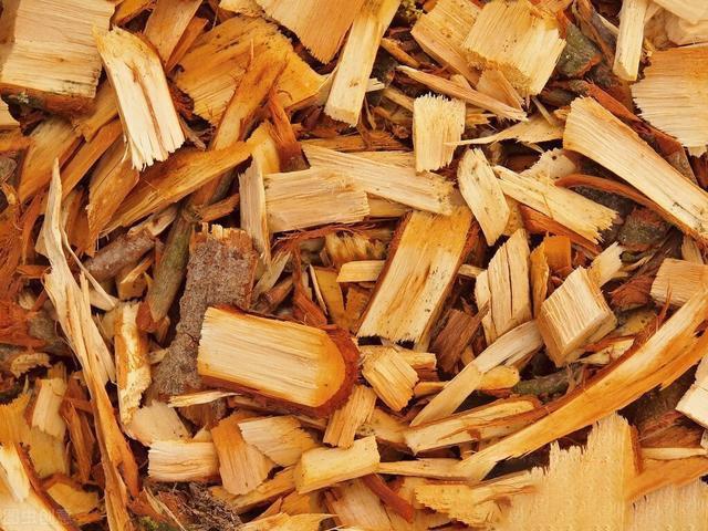 废旧木材回收就用木材粉碎机