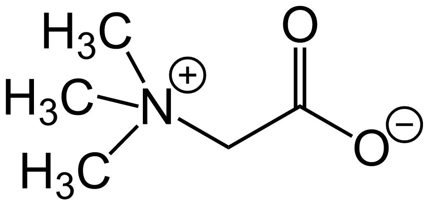 v2-7adc0d3afc4ef4132a5600f79e29e022_r.jpg