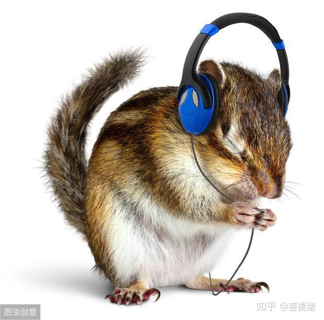 开心一笑,动物的歇后语俏皮话110句